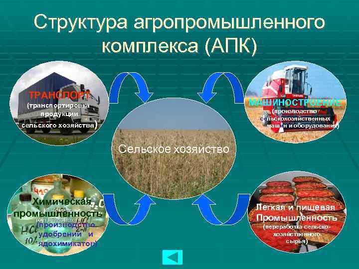 Структура агропромышленного комплекса (АПК) ТРАНСПОРТ МАШИНОСТРОЕНИЕ (транспортировка продукции (производство сельскохозяйственных машин и оборудования) сельского