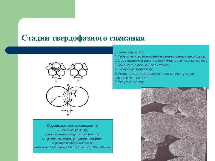 Стадии твердофазного спекания Стадии спекания: 1. Развитие и возникновение связей между частицами; 2. Образование