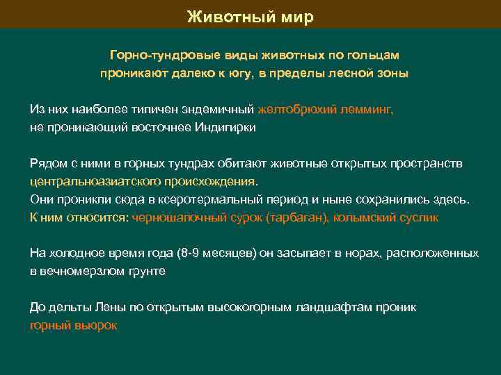 Животный мир Горно-тундровые виды животных по гольцам проникают далеко к югу, в пределы лесной