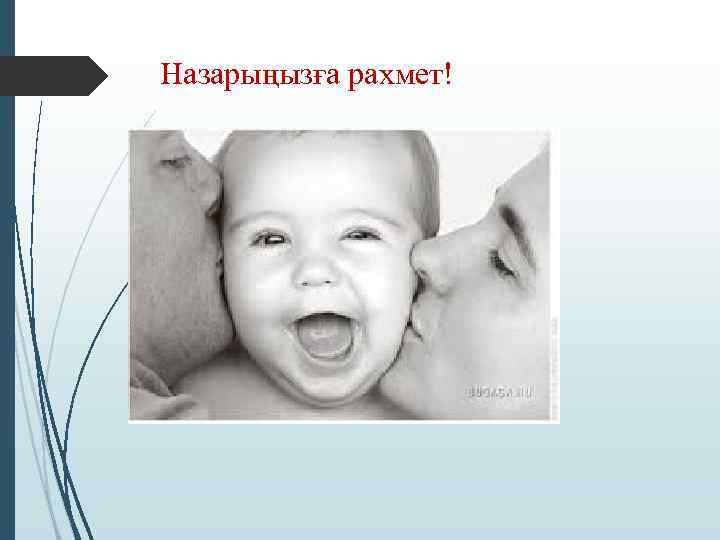 Назарыңызға рахмет! 