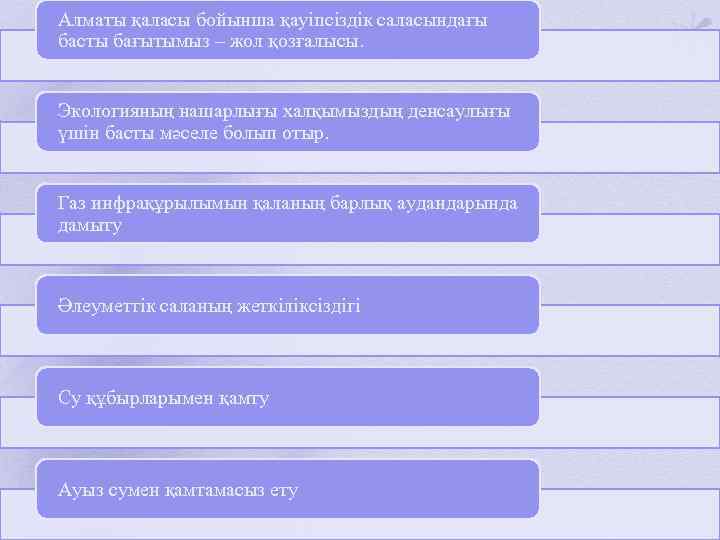 Алматы қаласы бойынша қауіпсіздік саласындағы басты бағытымыз – жол қозғалысы. Экологияның нашарлығы халқымыздың денсаулығы
