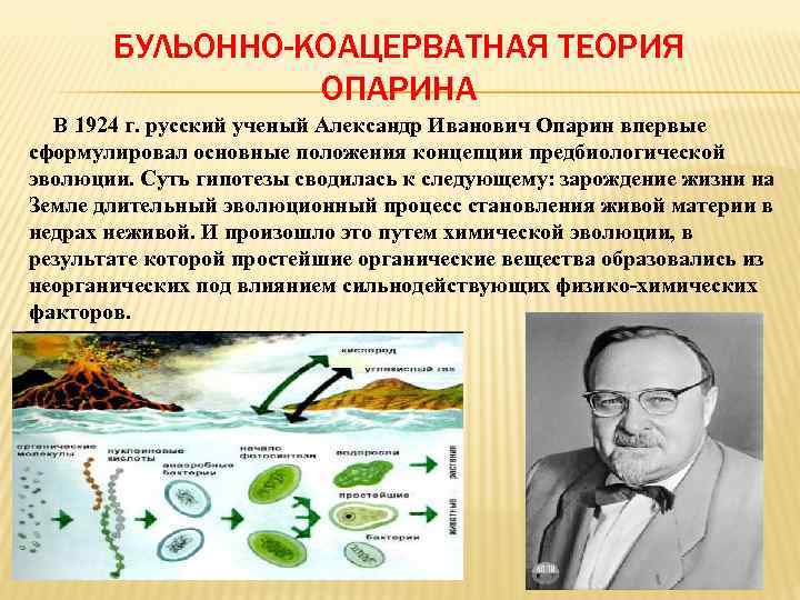 БУЛЬОННО-КОАЦЕРВАТНАЯ ТЕОРИЯ ОПАРИНА В 1924 г. русский ученый Александр Иванович Опарин впервые сформулировал основные