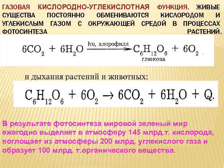 ГАЗОВАЯ КИСЛОРОДНО-УГЛЕКИСЛОТНАЯ ФУНКЦИЯ. ЖИВЫЕ СУЩЕСТВА ПОСТОЯННО ОБМЕНИВАЮТСЯ КИСЛОРОДОМ И УГЛЕКИСЛЫМ ГАЗОМ С ОКРУЖАЮЩЕЙ СРЕДОЙ