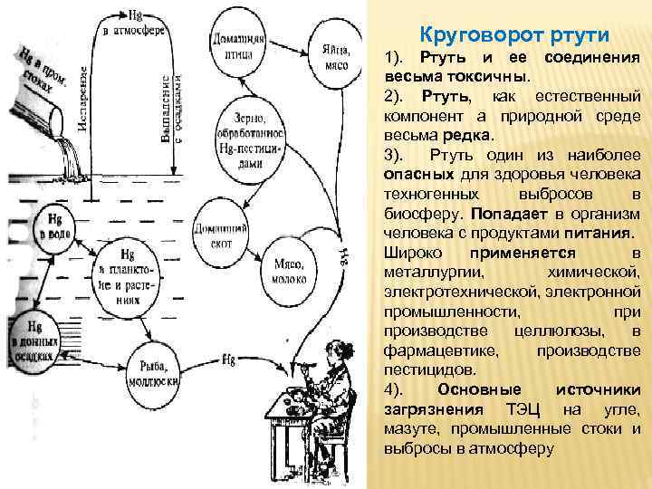 Круговорот ртути 1). Ртуть и ее соединения весьма токсичны. 2). Ртуть, как естественный компонент