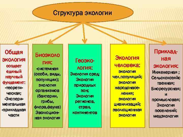 Виды эволюции окружающей среды