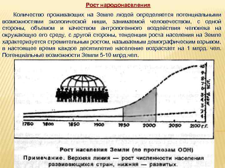 Рост народонаселения Количество проживающих на Земле людей определяется потенциальными возможностями экологической ниши, занимаемой человечеством,