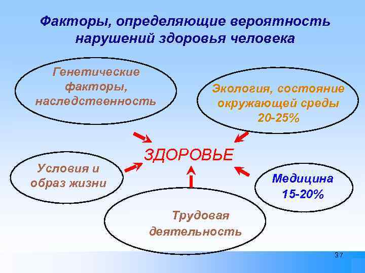 Факторы, определяющие вероятность нарушений здоровья человека Генетические факторы, наследственность Условия и образ жизни Экология,