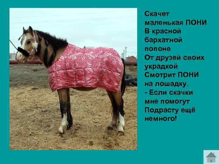 Скачет маленькая ПОНИ В красной бархатной попоне От друзей своих украдкой Смотрит ПОНИ на