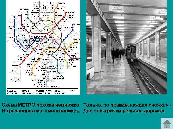 Схема МЕТРО похожа немножко Только, по правде, каждая «ножка» На разноцветную «многоножку» . Для
