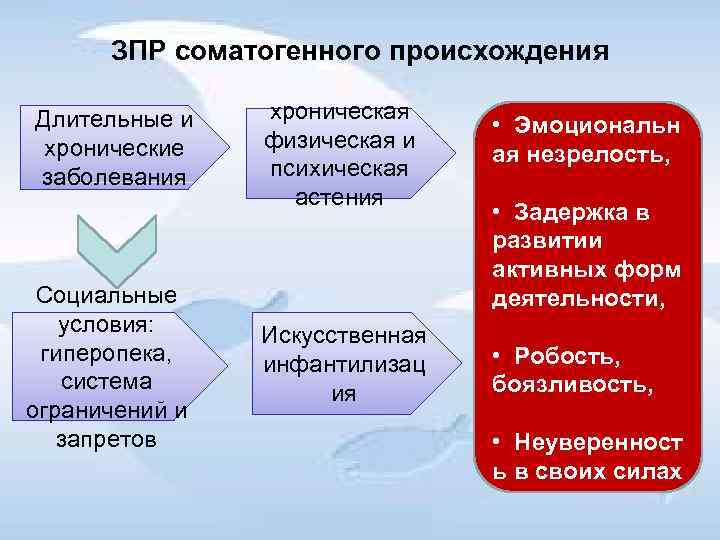 ЗПР соматогенного происхождения Длительные и хронические заболевания Социальные условия: гиперопека, система ограничений и запретов