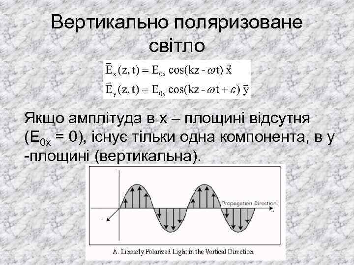 Вертикально поляризоване світло Якщо амплітуда в х – площині відсутня (E 0 x =