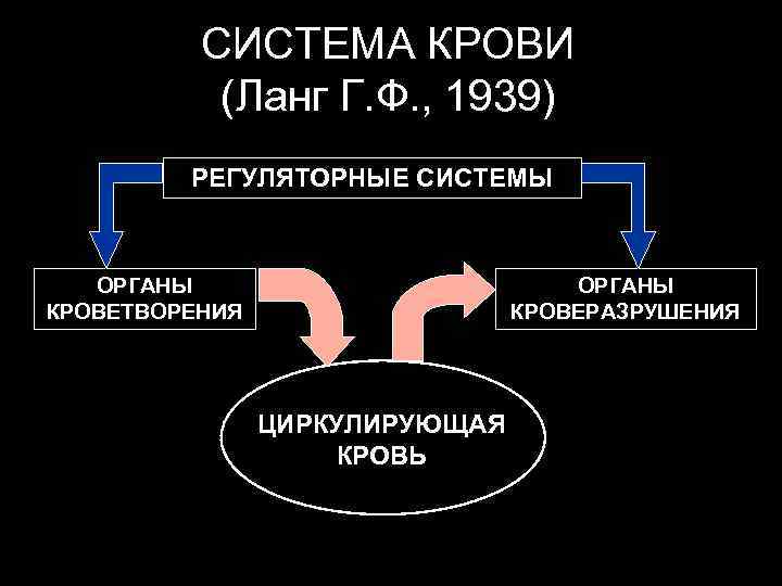 СИСТЕМА КРОВИ (Ланг Г. Ф. , 1939) РЕГУЛЯТОРНЫЕ СИСТЕМЫ ОРГАНЫ КРОВЕТВОРЕНИЯ ОРГАНЫ КРОВЕРАЗРУШЕНИЯ ЦИРКУЛИРУЮЩАЯ