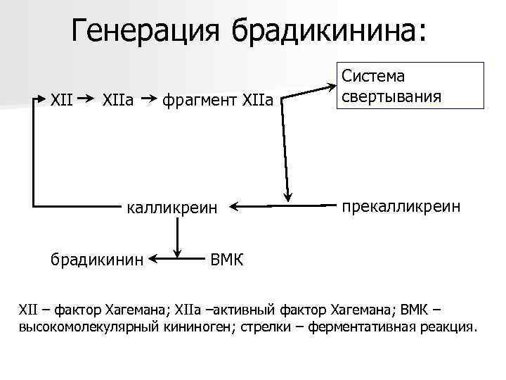 Генерация брадикинина: XIIa фрагмент XIIа калликреин брадикинин Система свертывания прекалликреин ВМК XII – фактор