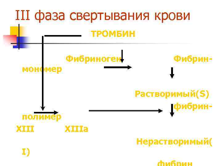 Фазы свертывания крови схема свертывания