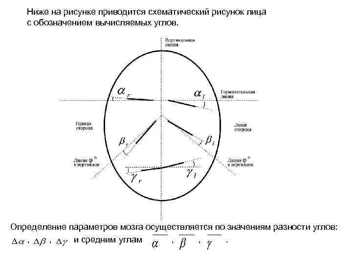 Ниже на рисунке приводится схематический рисунок лица с обозначением вычисляемых углов. Определение параметров мозга