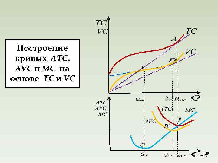 Построение кривых ATC, AVC и MC на основе TC и VC 