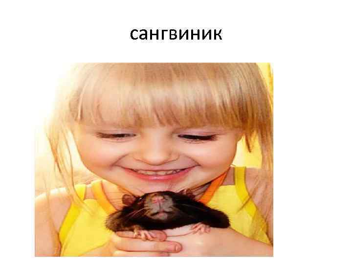 сангвиник 