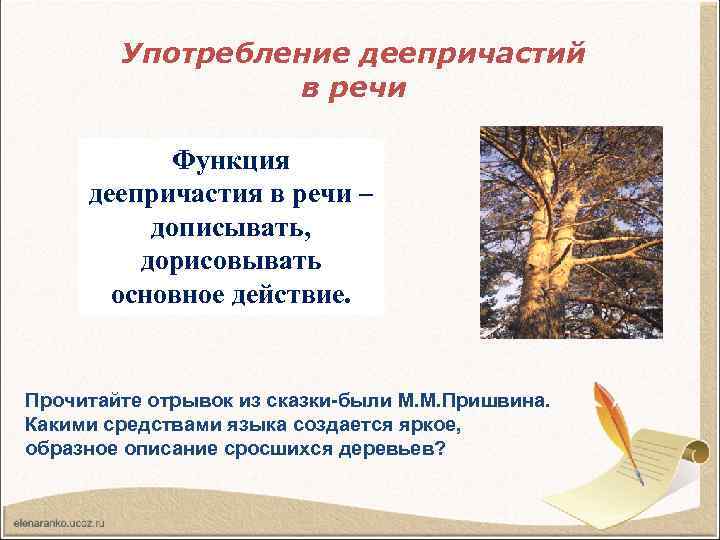 Употребление деепричастий в речи Функция деепричастия в речи – дописывать, дорисовывать основное действие. Прочитайте