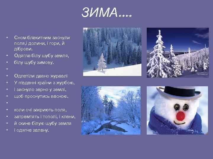 ЗИМА…. • • • • Сном блакитним заснули поля, і долини, і гори, й
