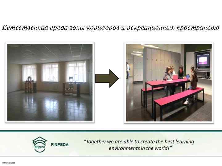 Естественная среда зоны коридоров и рекреационных пространств 