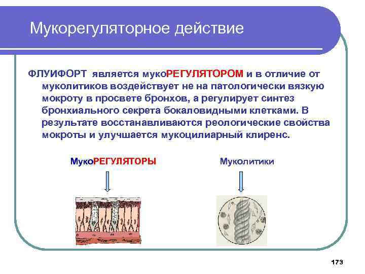 Мукорегуляторное действие ФЛУИФОРТ является муко. РЕГУЛЯТОРОМ и в отличие от муколитиков воздействует не на