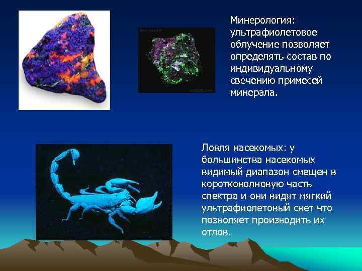 Минерология: ультрафиолетовое облучение позволяет определять состав по индивидуальному свечению примесей минерала. Ловля насекомых: у
