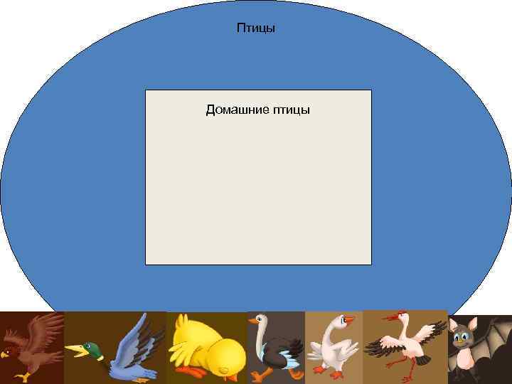 Птицы Подмножество Домашние птицы 