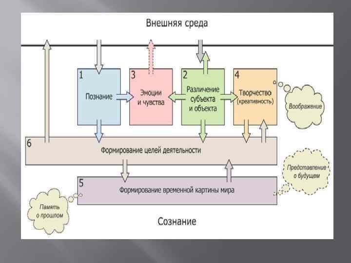 Сознание и бессознательное 