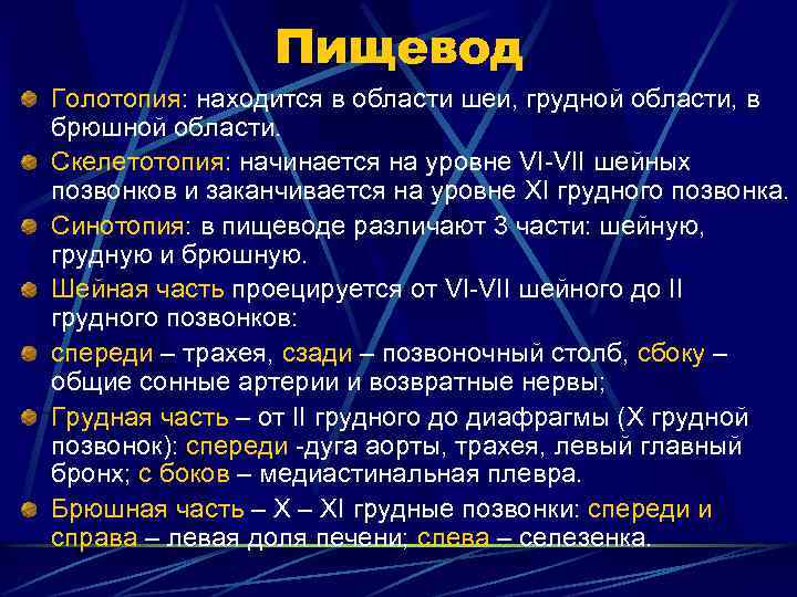 Пищевод Голотопия: находится в области шеи, грудной области, в брюшной области. Скелетотопия: начинается на