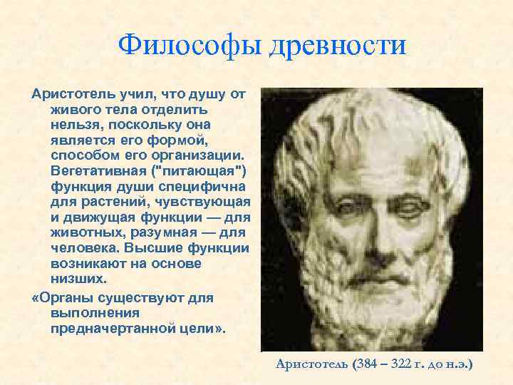 Философы древности Аристотель учил, что душу от живого тела отделить нельзя, поскольку она является