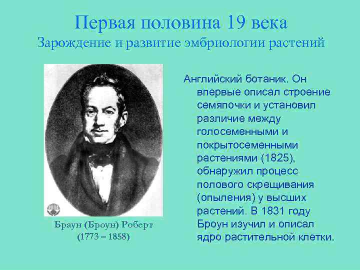 Первая половина 19 века Зарождение и развитие эмбриологии растений Браун (Броун) Роберт (1773 –
