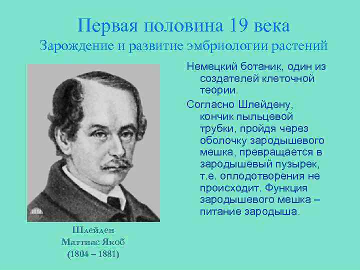 Первая половина 19 века Зарождение и развитие эмбриологии растений Немецкий ботаник, один из создателей