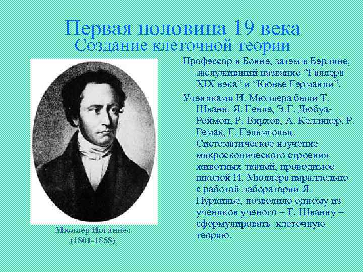 Первая половина 19 века Создание клеточной теории Мюллер Иоганнес (1801 -1858) Профессор в Бонне,