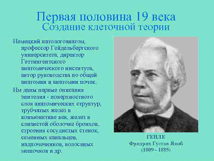 Первая половина 19 века Создание клеточной теории Немецкий патологоанатом, профессор Гейдельбергского университета, директор Геттингентского