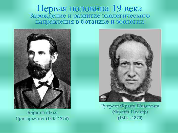 Первая половина 19 века Зарождение и развитие экологического направления в ботанике и зоологии Борщов