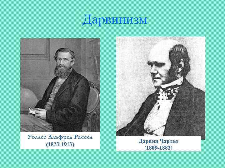 Дарвинизм Уоллес Альфред Рассел (1823 -1913) Дарвин Чарльз (1809 -1882) 