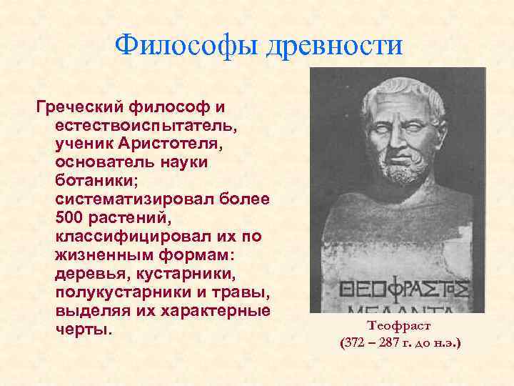 Философы древности Греческий философ и естествоиспытатель, ученик Аристотеля, основатель науки ботаники; систематизировал более 500