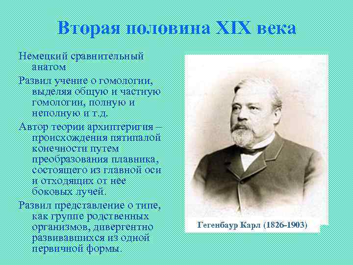 Вторая половина ХIХ века Немецкий сравнительный анатом Развил учение о гомологии, выделяя общую и