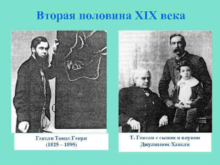 Вторая половина ХIХ века Гексли Томас Генри (1825 – 1895) Т. Гексли с сыном
