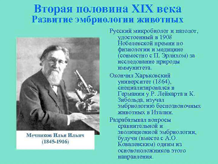 Вторая половина XIX века Развитие эмбриологии животных Мечников Илья Ильич (1845 -1916) Русский микробиолог