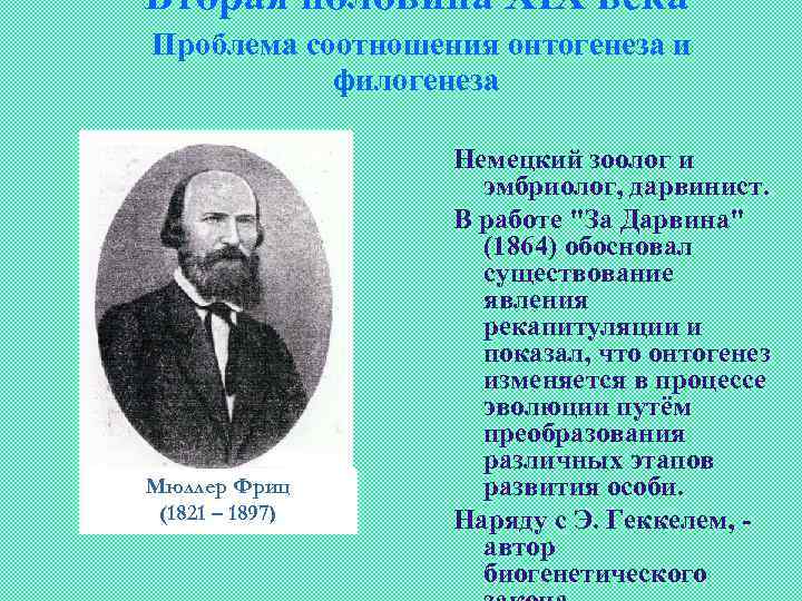 Вторая половина XIX века Проблема соотношения онтогенеза и филогенеза Мюллер Фриц (1821 – 1897)