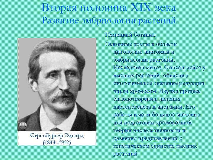 Вторая половина XIX века Развитие эмбриологии растений Страсбургер Эдвард (1844 -1912) Немецкий ботаник. Основные