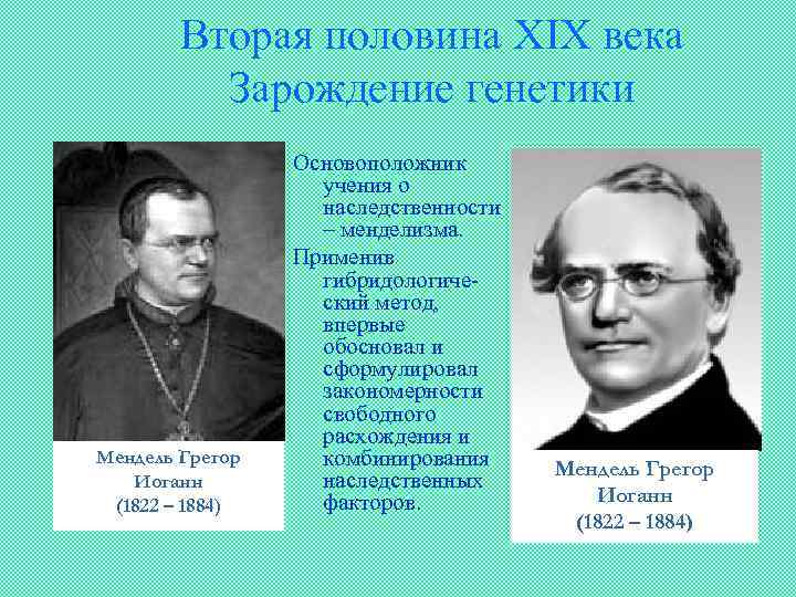Вторая половина XIX века Зарождение генетики Мендель Грегор Иоганн (1822 – 1884) Основоположник учения