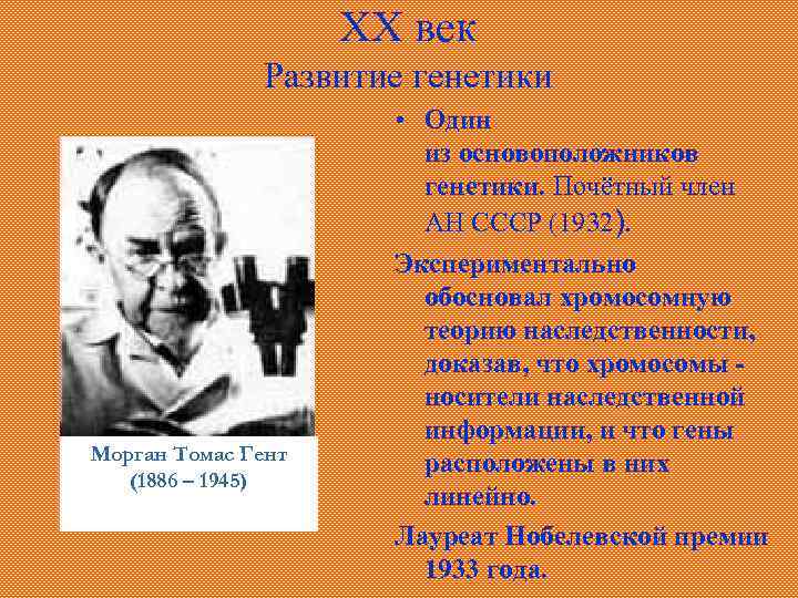 XX век Развитие генетики Морган Томас Гент (1886 – 1945) • Один из основоположников