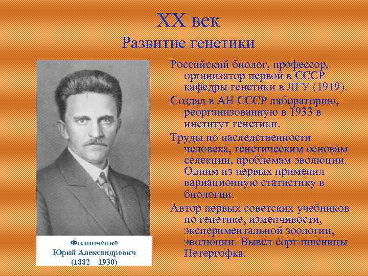 XX век Развитие генетики Филипченко Юрий Александрович (1882 – 1930) Российский биолог, профессор, организатор