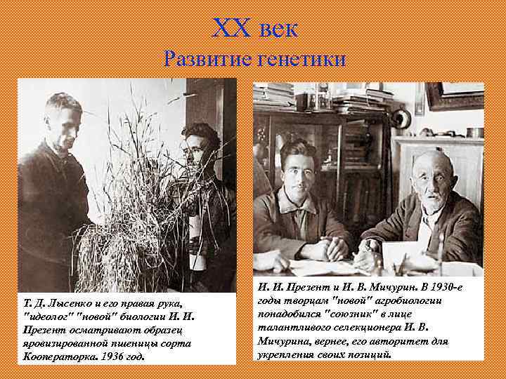 XX век Развитие генетики Т. Д. Лысенко и его правая рука, "идеолог" "новой" биологии