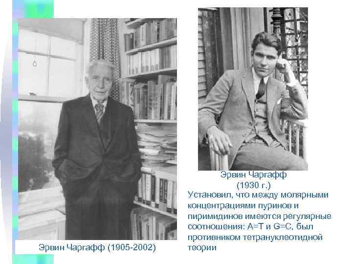 Эрвин Чаргафф (1905 -2002) Эрвин Чаргафф (1930 г. ) Установил, что между молярными концентрациями