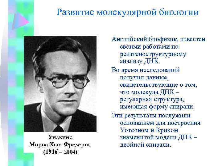 Развитие молекулярной биологии Уилкинс Морис Хью Фредерик (1916 – 2004) Английский биофизик, известен своими
