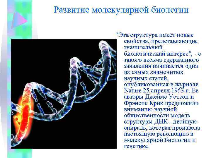 Развитие молекулярной биологии "Эта структура имеет новые свойства, представляющие значительный биологический интерес", - с