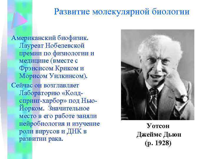 Развитие молекулярной биологии Американский биофизик. Лауреат Нобелевской премии по физиологии и медицине (вместе с